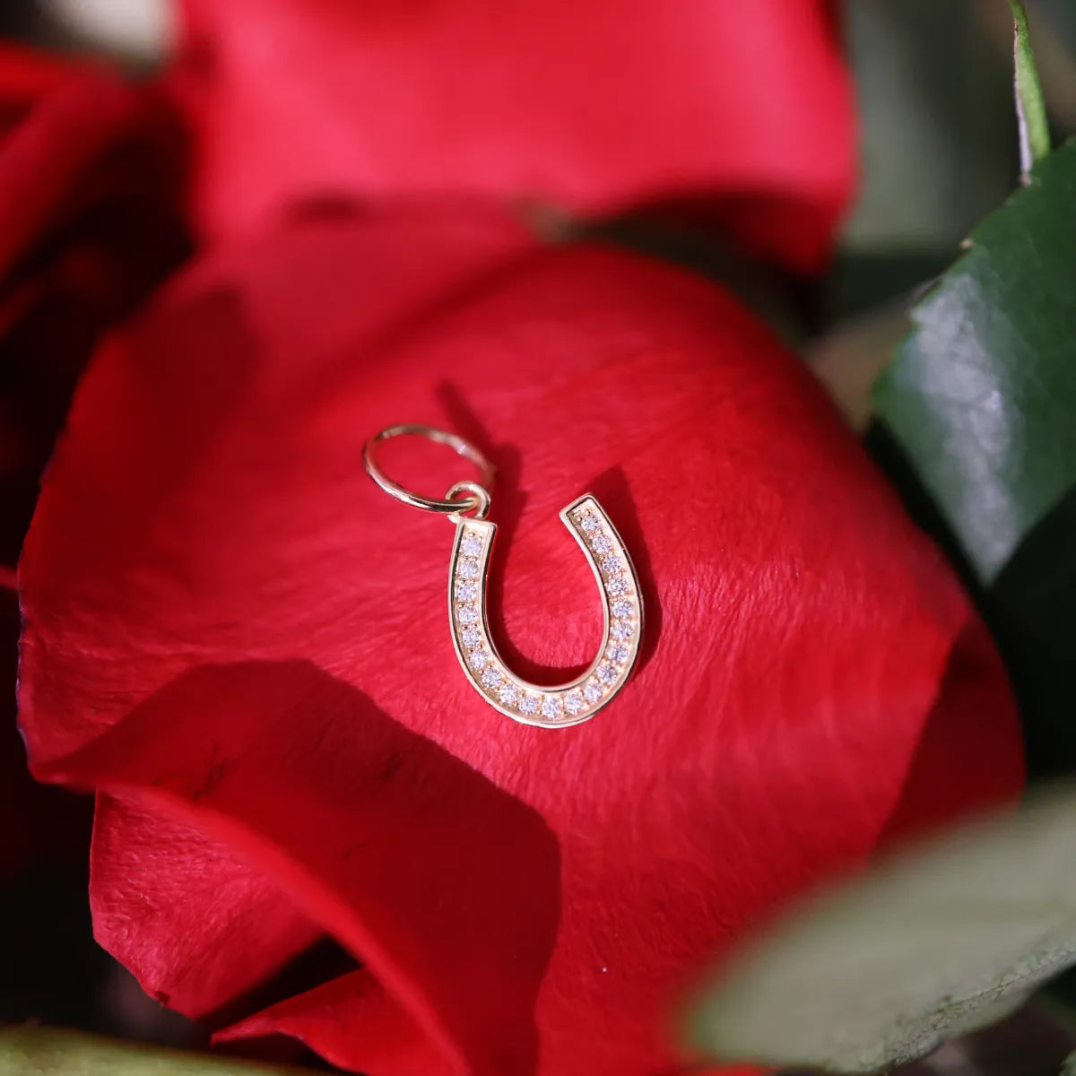 Classic Diamond Horseshoe Charm-Charms & Pendants-Mama Bijoux