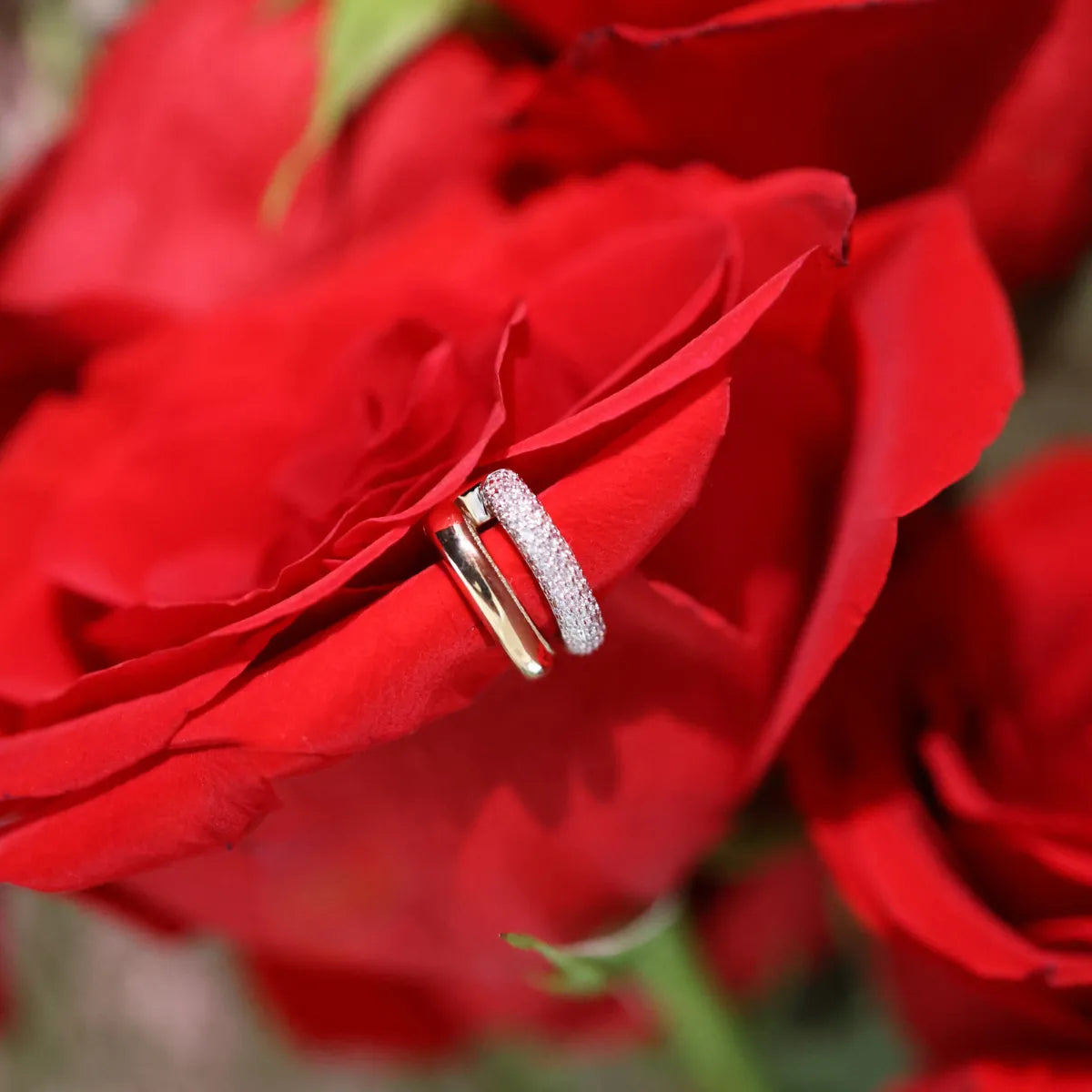 Pave and Gold Duo Ear Cuff-Earrings-Mama Bijoux