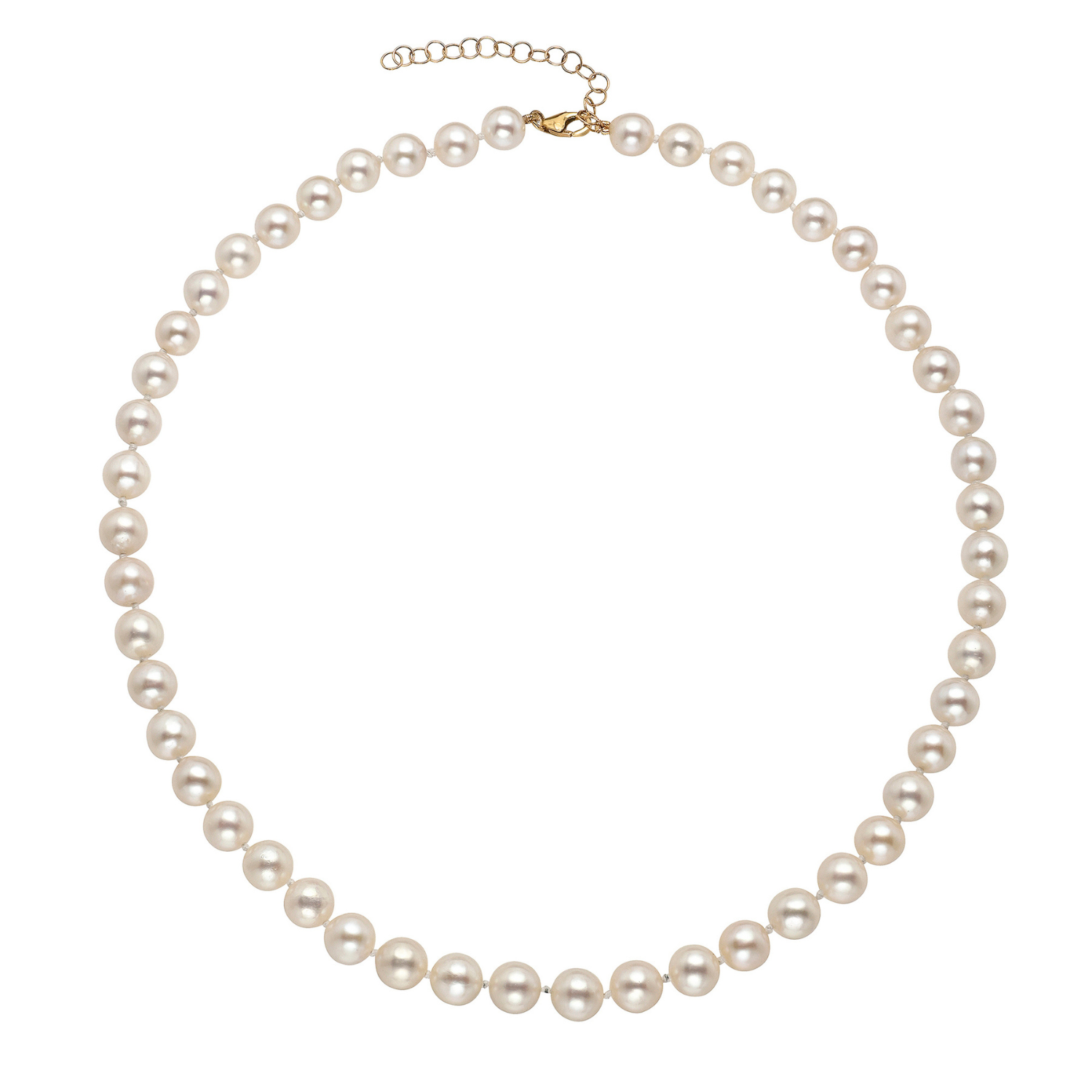 Pearl necklace on a white background