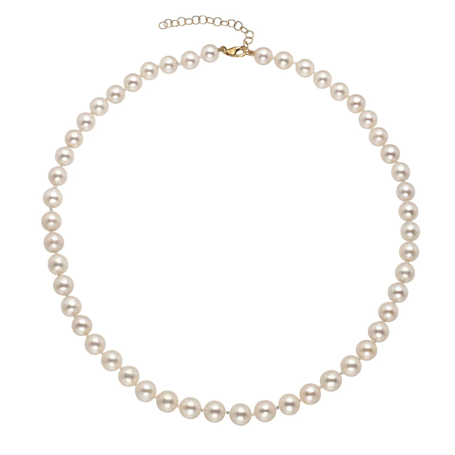 Pearl necklace on a white background